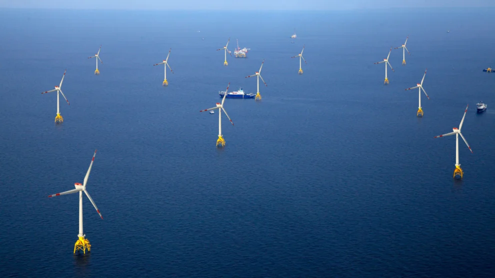 Jabutis em PL de eólicas offshore custam 4x a tarifa social, diz estudo