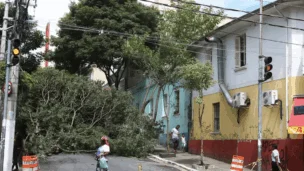 Foto: Rovena Rosa/Agência Brasil