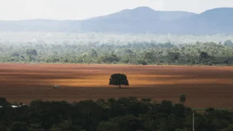 Foto: Marcelo Camargo/ Agência Brasil