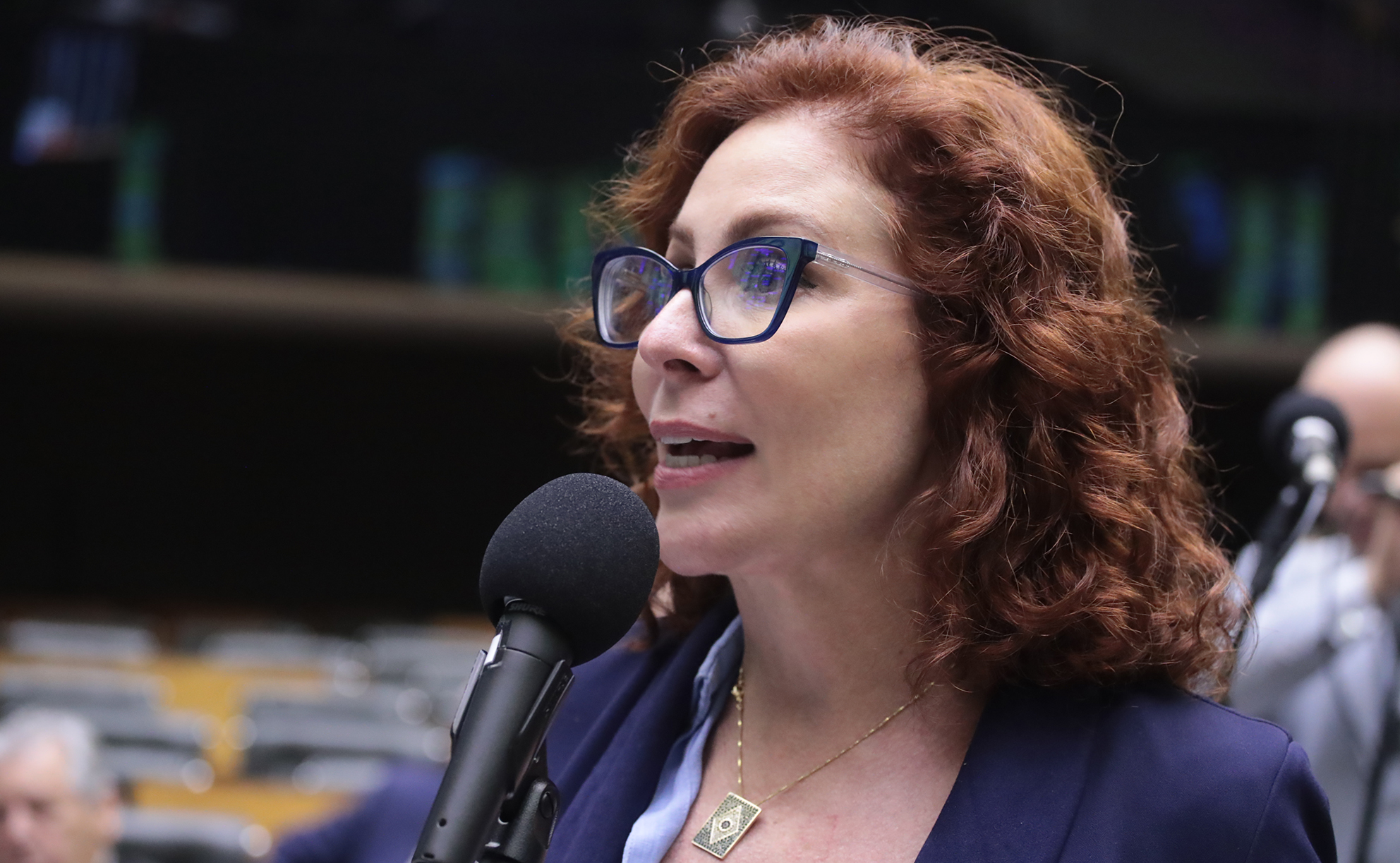 Foto: Bruno Spada/Câmara dos Deputados