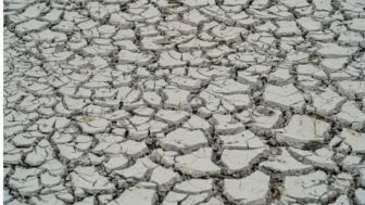 Seca em Manaus, em 2023
