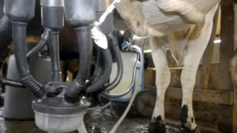 Marcello Casal Jr/ Agência Brasil