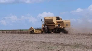 Arquivo / Agência Brasil