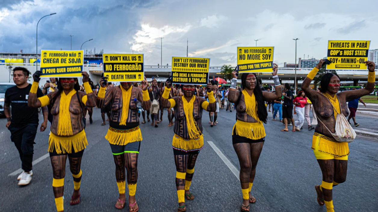 Ferrovia Desmatamento