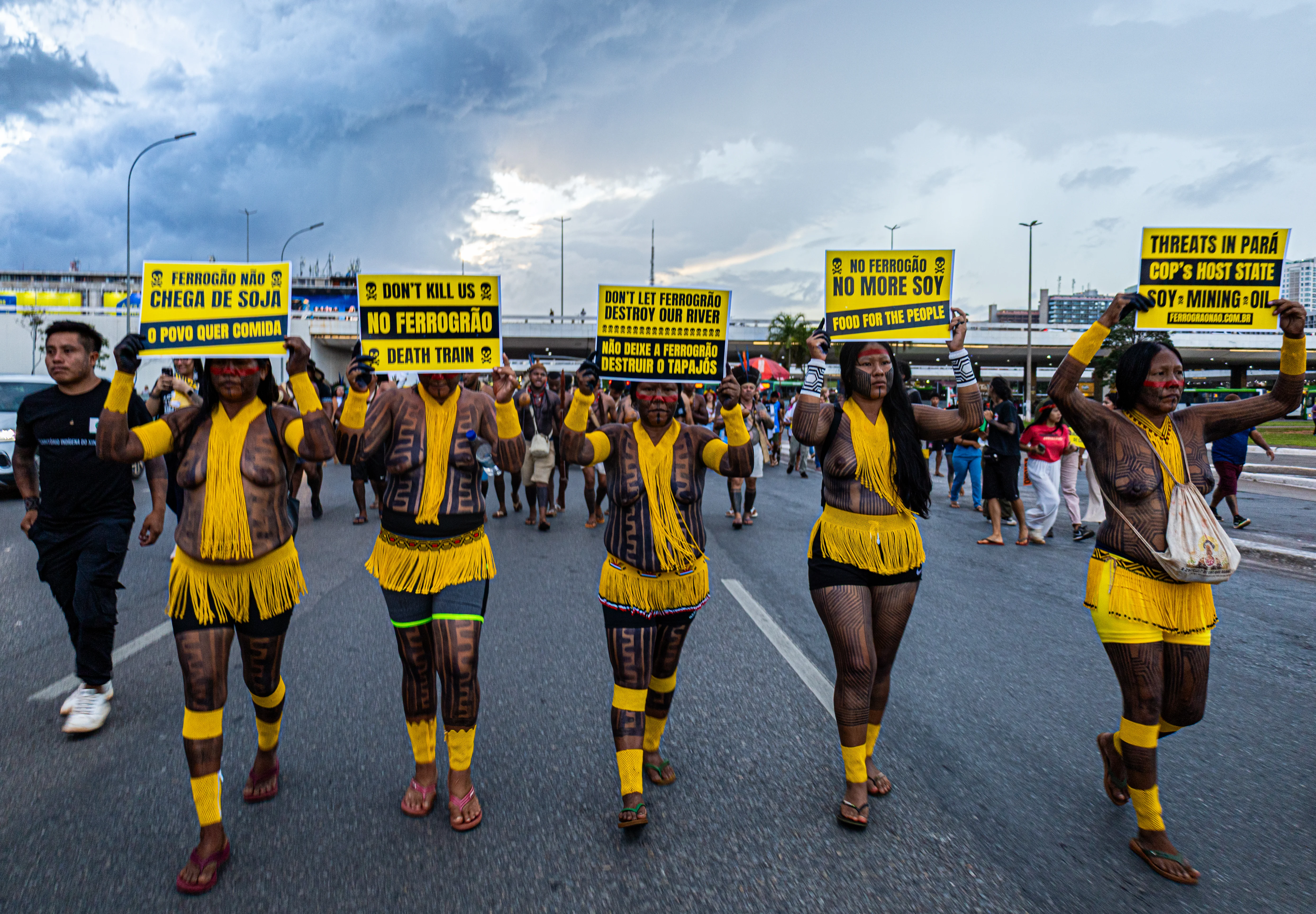 Ferrovia Desmatamento