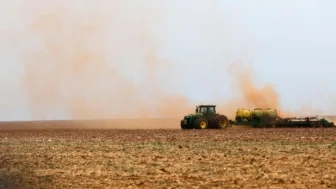 Seca, agricultura, colheita