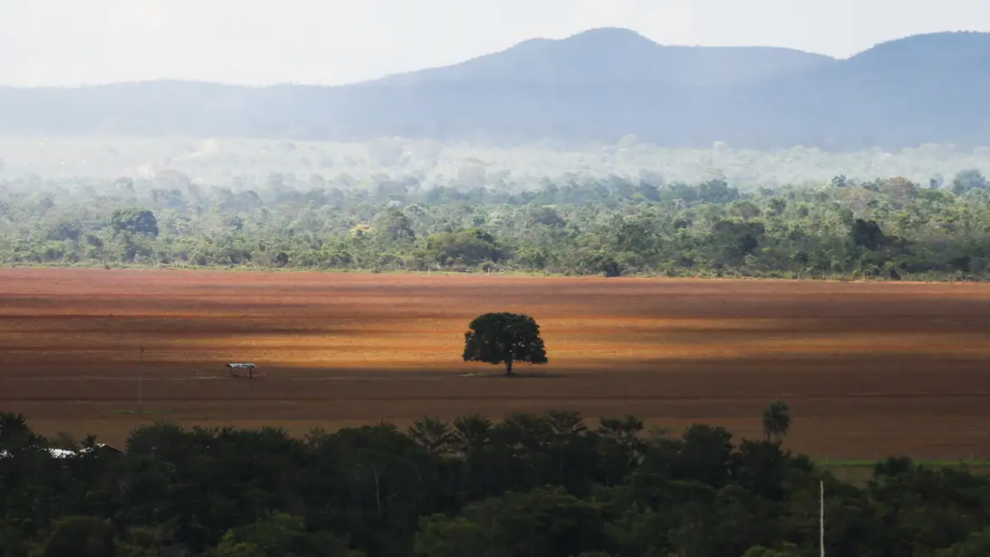 Foto: Marcelo Camargo/ Agência Brasil